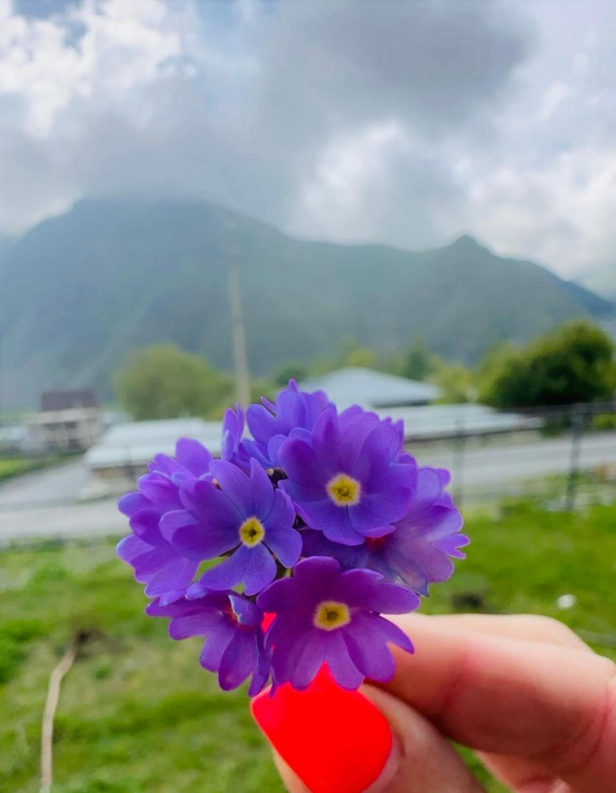 Отель Chalet Kazbegi Экстерьер фото